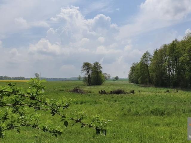 Działka pod dom z warunkami zabudowy, las i łąki