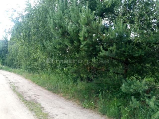 Działka pod dom z projektem, cicha okolica, Radzewo