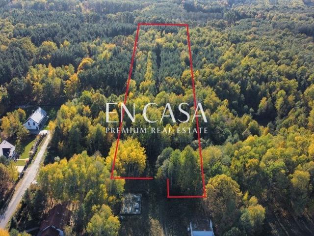 Działka inwestycyjna 20 649 m² pod domy w Adamowiźnie