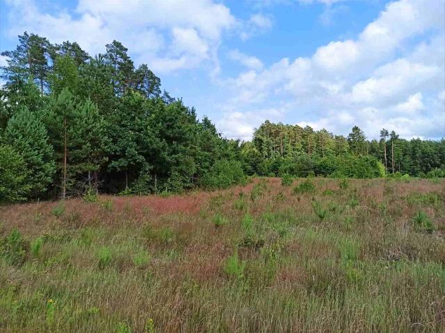 Działka pod lasem 3405 m² z WZ, prywatność, media, Koszalin