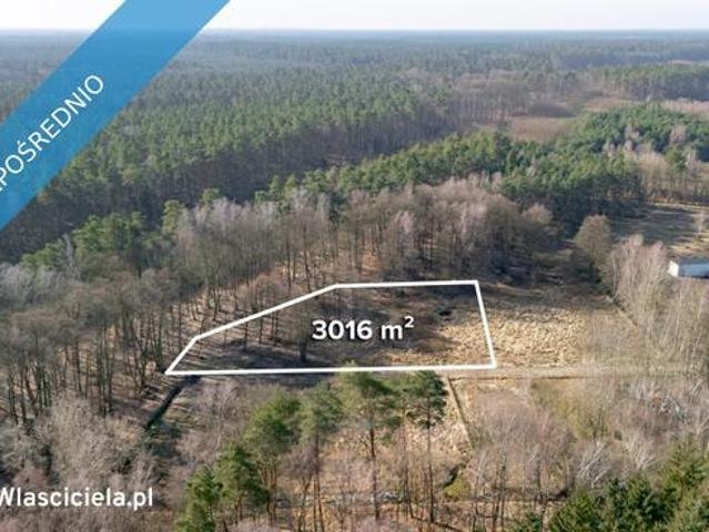 Działka pod lasem z wydanymi warunkami tylko 120 zł/m2