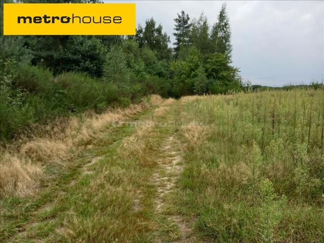 Działka, Promna Kolonia, 11400.00 m², sprzedam działkę