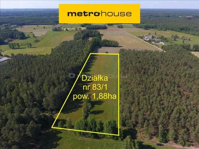 Działka, Prusowy Borek, 18800.00 m², sprzedam działkę
