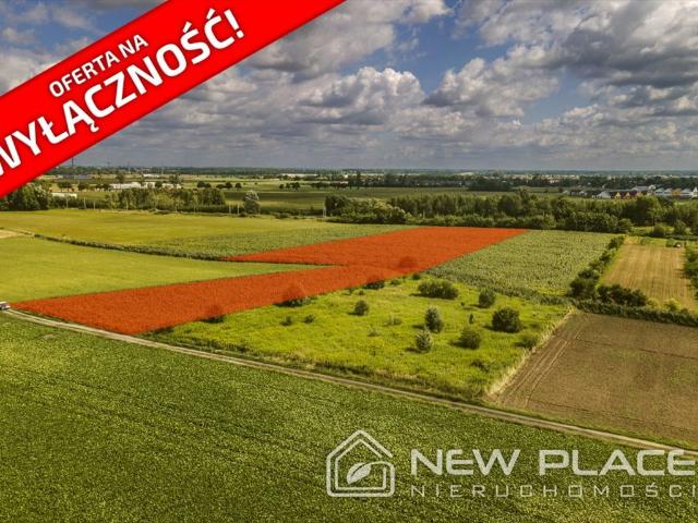 Działka przemysłowa 11 779 m² z MPZP Kamieniec Wrocławski