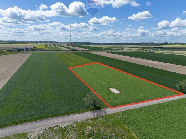 Działka przemysłowa 4 805 m² w Gołuskach – inwestuj!