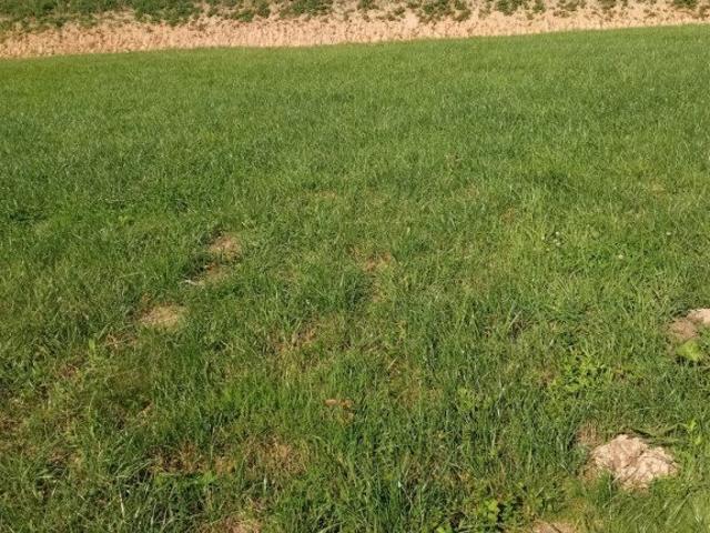 Działka, Rzeszów, Ciche Wzgórze, 1939.00 m², sprzedam działkę
