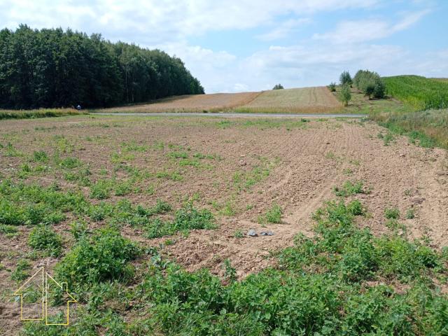 Działka, Rzeszów Bzianka, Leszczynowa, 2240.00 m², sprzedam działkę