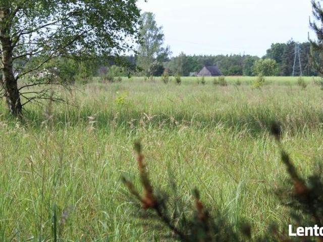 Działka rekreacyjna Jankowice