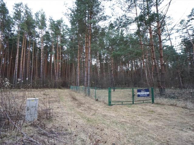 Działka rekreacyjna z warunkami zabudowy, 2927 m2