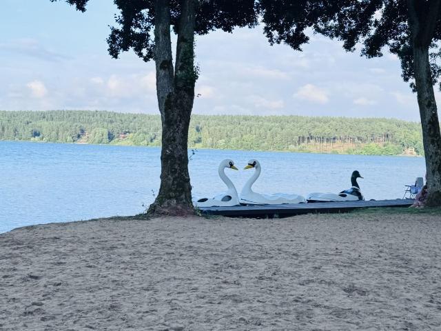 Działka rekreacyjna 1013 m² blisko Jeziora Raduńskiego zapraszam