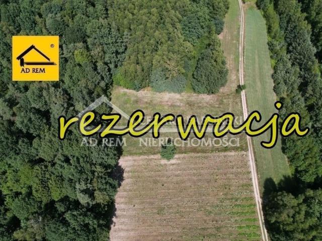 Działka rekreacyjna 3000 m² w Uściążu – spokój i natura