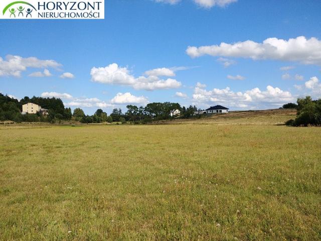 Do sprzedania działka rekreacyjna 3170 m² w Donimierzu