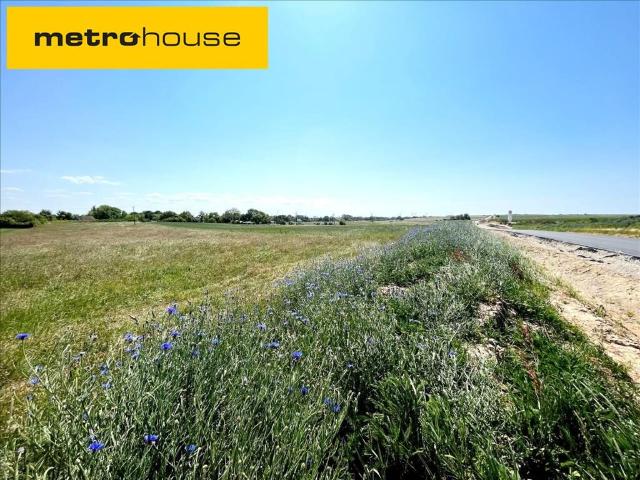 Działka, Rogozina, 918.00 m², sprzedam działkę
