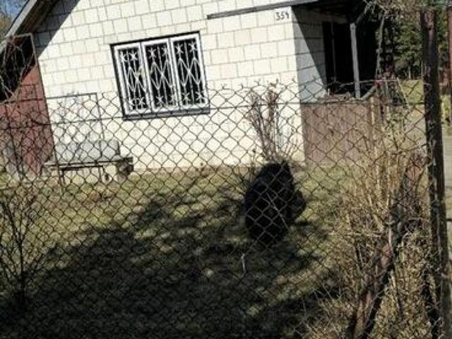 Działka ROD Radom sprzedaż