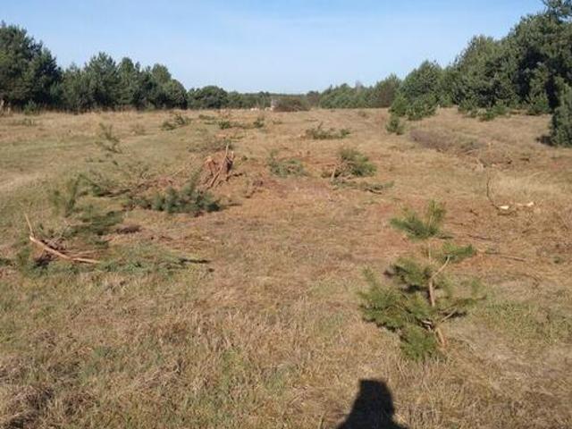 działka rolna, budowlana, reakracyina
