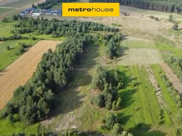 Działka rolna, położona w otulinie lasu