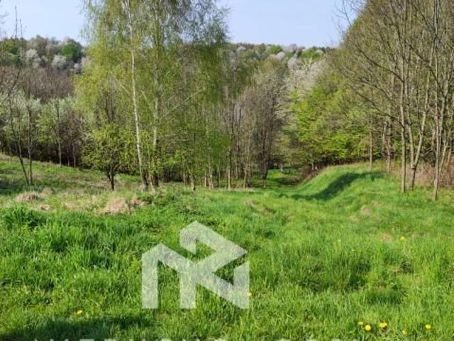 Działka rolna z dostępem do drogi, zalesiona, 11 600 m²