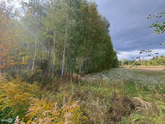 Działka rolna z możliwością zabudowy w Sędku, 8 879 m²