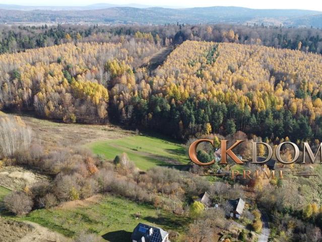 Działka rolna z potencjałem inwestycyjnym 22 500 m²