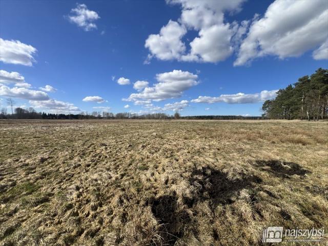 Działka rolna z potencjałem inwestycyjnym w Grzepnicy