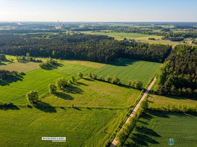 Działka rolna z potencjałem inwestycyjnym w Śródborzu
