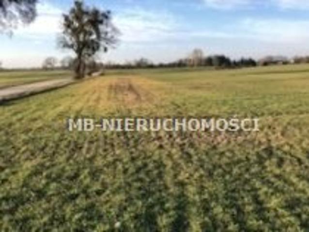 Działka rolna z warunkami zabudowy, 71 400 m², Koronowo