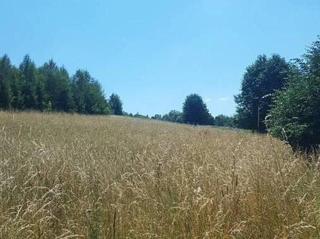 Działka rolna 0,24 ha przy drodze, klasa IV, Glinik Polski