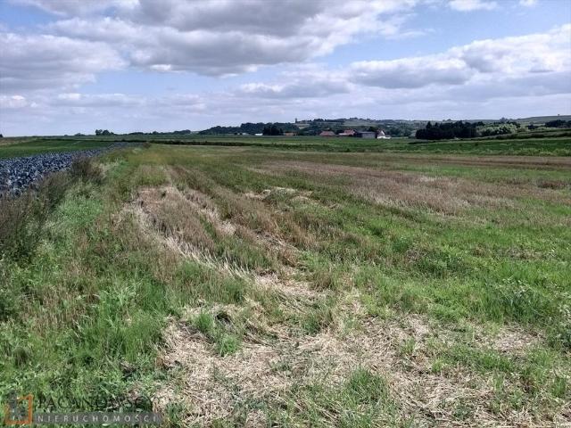 Działka rolna 12 660 m2 w spokojnej okolicy