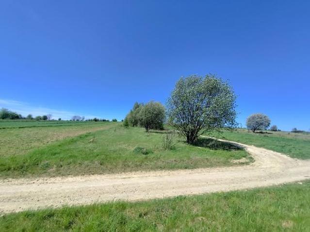 Działka rolna 1300 m² z widokiem, dojazd z utwardzonej drogi
