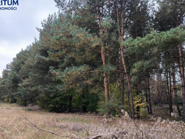 Działka rolna 13 500 m² w Skułach – spokój i natura