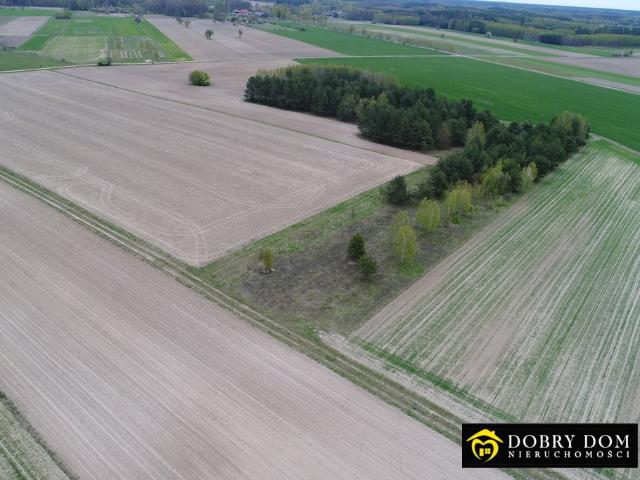 Działka rolna 1,08 ha z możliwością uporządkowania