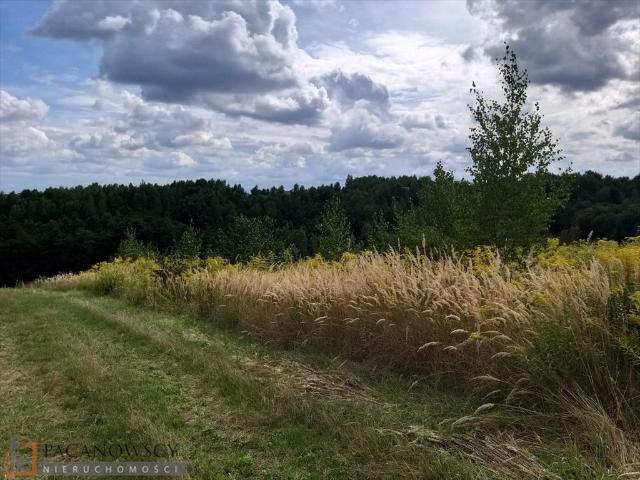 Działka rolna 1,17 ha z mediami i widokami