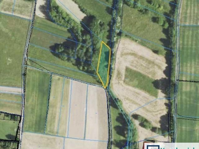 Działka rolna 1,22 ha z dostępem do drogi w Gogołowie