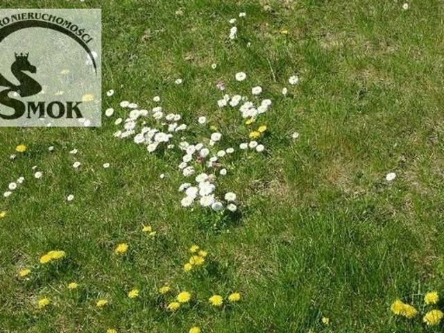Działka rolna 25a w Staniątkach, las, brak drogi