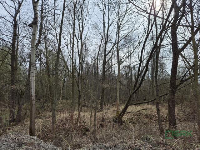 Działka rolna 2709 m² w Kanowie, bez dostępu do drogi