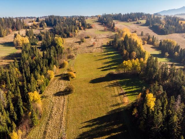 Działka rolna 2711 m² w Białym Dunajcu – inwestycja