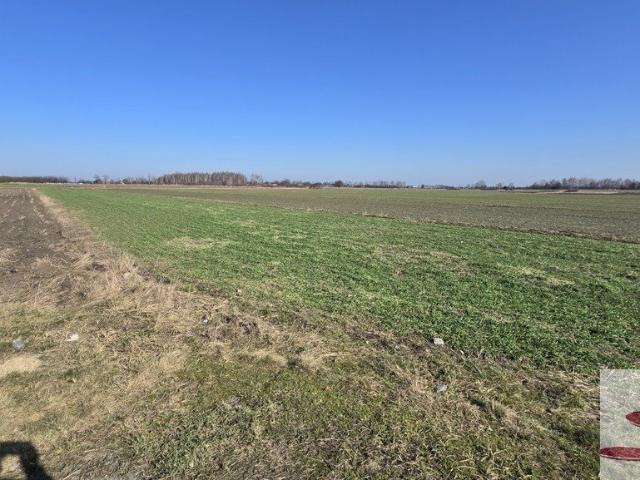 Działka rolna 2788 m² z dostępem drogą gruntową