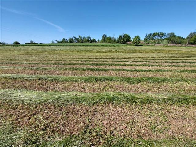 Działka rolna 21 300 m² blisko morza i jeziora Kopań