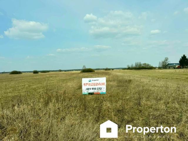 Działka rolna 2291 m² z dobrym dojazdem i potencjałem