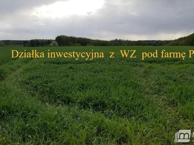 Działka rolna 2,5 ha pod farmę fotowoltaiczną z dostępem do drogi
