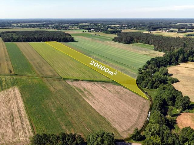 Działka rolna 2 ha w Modzele Bartłomieje – spokój i natura