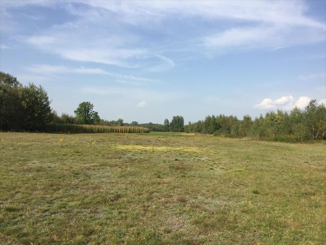 Działka rolna 34 000 m² pod zabudowę i rekreację