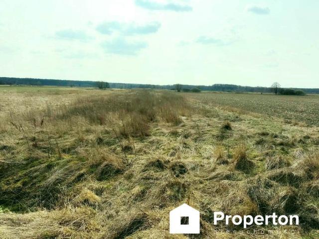 Działka rolna 3562 m² w spokojnej okolicy Składów