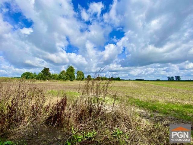 Działka rolna 3700 m² blisko lasu, dojazd polną drogą