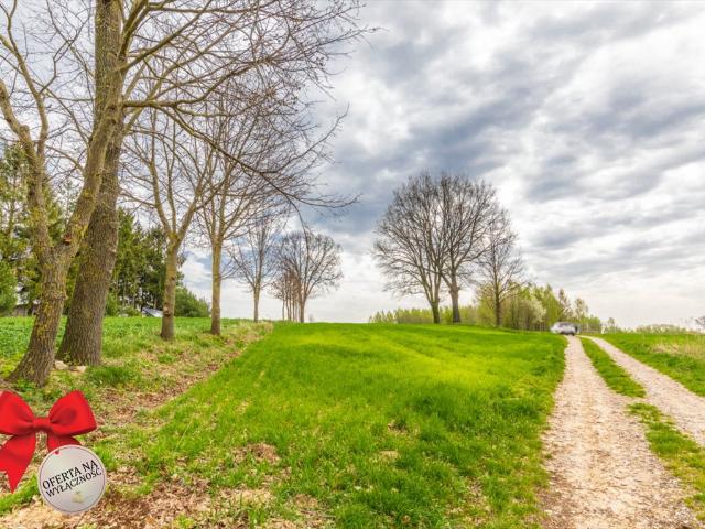 Działka rolna 3900 m² z mediami, cicha okolica