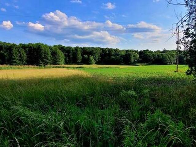 Działka Rolna 3000 m2 Słupice