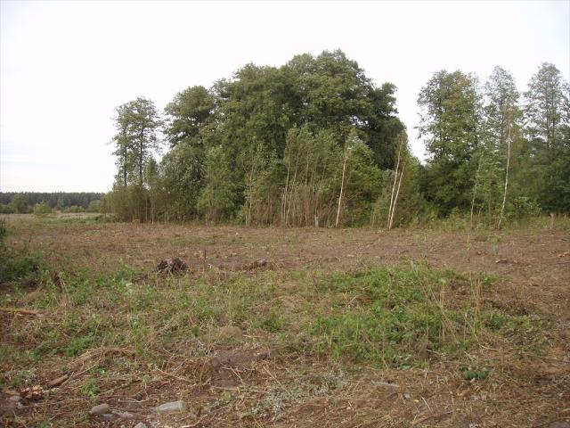 Działka rolna 3000 m² nad rzeką w Klembowie
