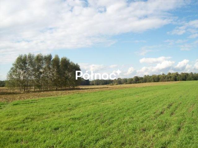 Działka rolna 3001 m² w Janowicach – prostokąt, dojazd polną drogą