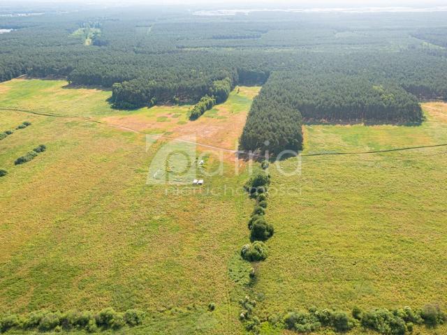 Działka rolna 3167 m2 w Puszczy Goleniowskiej
