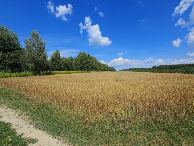 Działka rolna 33 arów z dojazdem polnym w Karczmiska Drugie